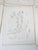Gray Mid 19th Century Us Pacifc Railroad Botanical Lithograph Book Plate - Set of 6 For Sale - Image 8 of 10