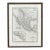 Antique 1825 Brué Map of Mexico & California — Framed French Engraving, 27.5" × 21.5" For Sale