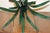1960s Vintage Tole Metal Leaf Vase, Scrolled Feet For Sale - Image 5 of 6