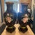 Pair of Late 20th Century Black Cloisonné Vases With Pink Roses For Sale - Image 4 of 12