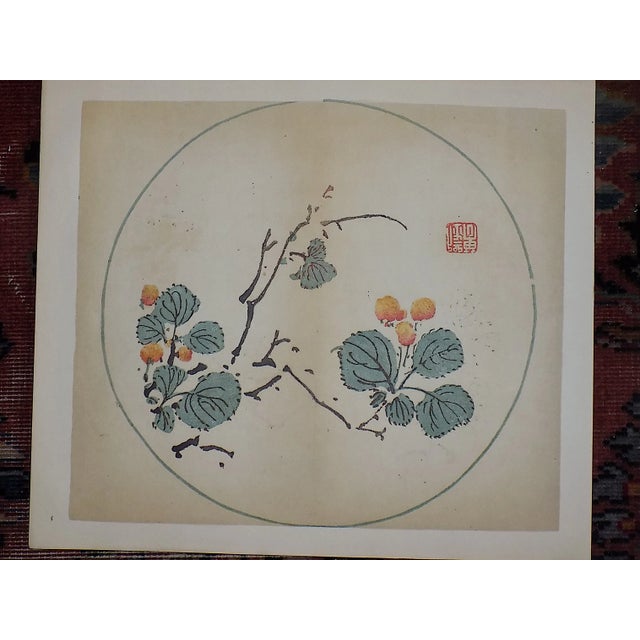 Vintage Signed Chinese Botanical Color Lithographs - Set of 4 For Sale - Image 4 of 10