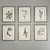 Framed Vintage Botanical Set of 6- Authentic Vintage Mid-Century Prints For Sale In Greensboro - Image 6 of 6
