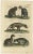 Antique print of domestic and wild cat species; Felis domestica, Zahme Katz (Domestic cat) - Felis sylvestris, Wilde Katz...