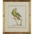 Xaviero Manetti, Ornithologia, 1800s, Engraving & Paper, Set of 6 For Sale - Image 5 of 9