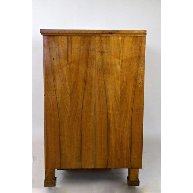 Antique Biedermeier Chest of Drawers, Austria, 1830 For Sale - Image 15 of 18