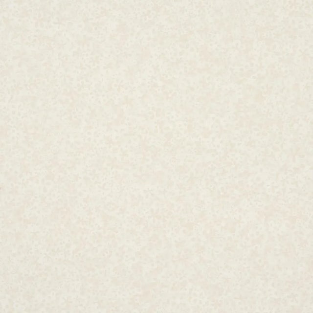 Contemporary Schumacher X Backdrop Superbloom Wallpaper in Cloud For Sale - Image 3 of 5