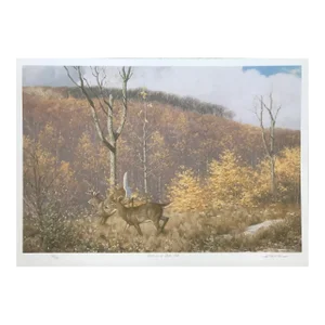 Claudio d'Angelo Deer in a Clear Cut Lithograph on Paper