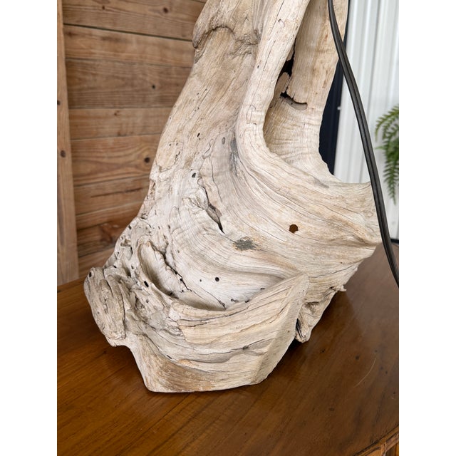 Monumental Sculptural Driftwood Table Lamp, Organic Modern Coastal Decor For Sale - Image 10 of 12