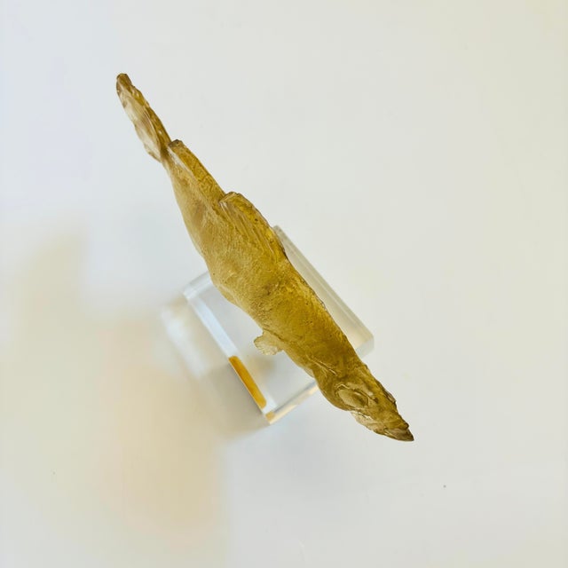 Vintage Acrylic Fish Sculpture For Sale - Image 9 of 11