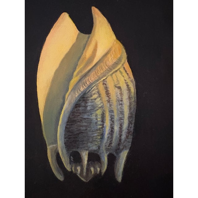 1980s Vintage Oil on Canvasboard Painting of a Conch Seashell For Sale - Image 5 of 5