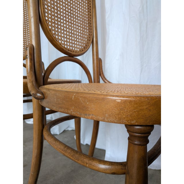 Vintage Bentwood and Cane Dining Chairs, Former Yugoslavia, 1970s, Set of 8 For Sale - Image 15 of 18
