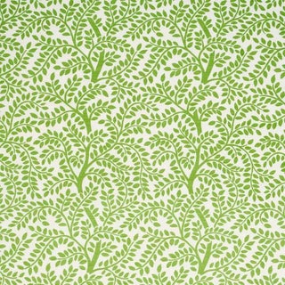 Schumacher Temple Garden Ii Fabric in Green For Sale