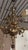 Not Yet Made - Made To Order Murano Chandelier by AZ HOME For Sale - Image 5 of 5