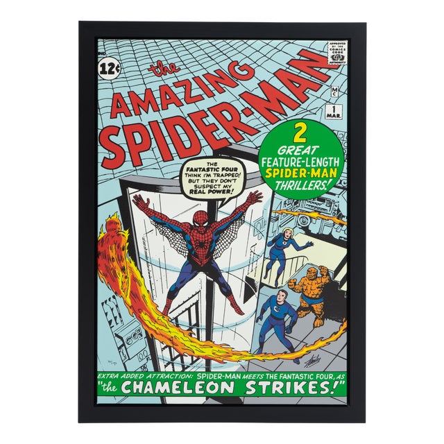 Limited Edition Marvel Print Signed, Numbered, Stan Lee For Sale