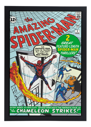 Limited Edition Marvel Print Signed, Numbered, Stan Lee