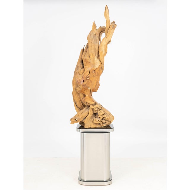 Dale Zarrella Portrait Driftwood Sculpture, 1996 For Sale - Image 12 of 18