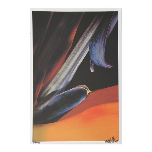 Bird of Paradise, Jonathan Singer, Photograph For Sale