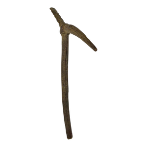 Early 20th Century Senufo Carved Staff Côte d'Ivoire Pearson Collection