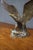 American Cast Metal Eagle Sculpture For Sale - Image 3 of 13