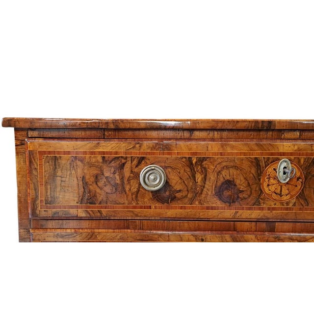 Louis XVI Three-Drawer Chest of Drawers in Olive Burl For Sale - Image 7 of 11