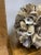 Shabby Chic Vintage 1980’s Oyster Shell Orb For Sale - Image 3 of 3
