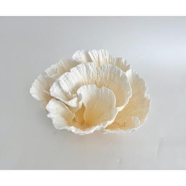 Chinoiserie Natural White Poca Coral Specimen For Sale - Image 3 of 8