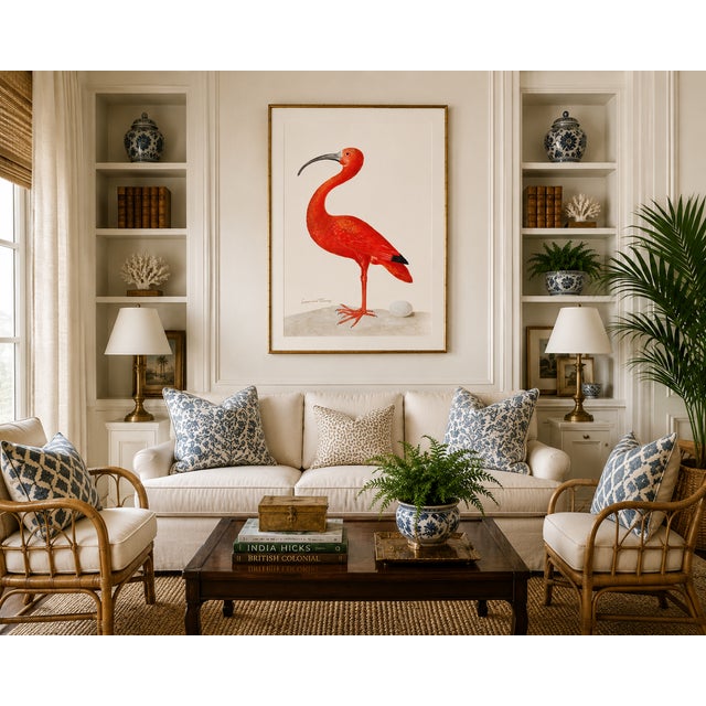 Scarlet Ibis, Vintage Art Print Reproduction, 24" X 36" For Sale - Image 11 of 12