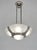 Atelier Petitot Petitot & Muller Freres French Art Deco Multi-Light Chandelier 1930s - Floral Glass For Sale - Image 4 of 15