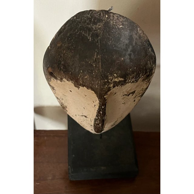 Carved Wood & Paint Decorated Lega Passport Mask For Sale - Image 12 of 13