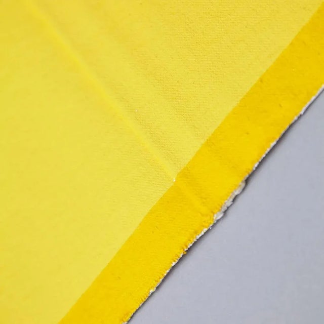 "pinch" by ángela de la cruz in 2015. Edition of 50 + 18 a.p. + 2 p.p. Acrylic on canvas. The document shown on the photo...