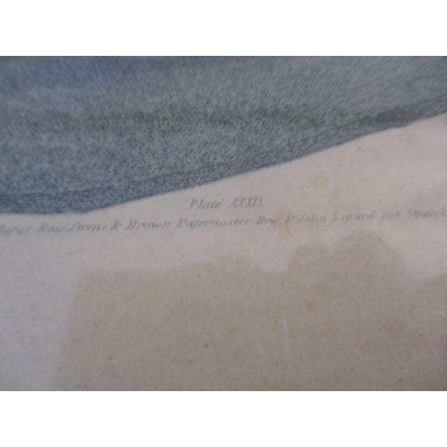 Early 19th Century George Brookshaw (1751-1823) Melon Prints Reproduction - Set of 4 Framed For Sale - Image 11 of 17