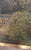 Wood Vintage Impressionist Style Landscape Oil Painting in Carved Wood Frame - Signed unclear For Sale - Image 7 of 12