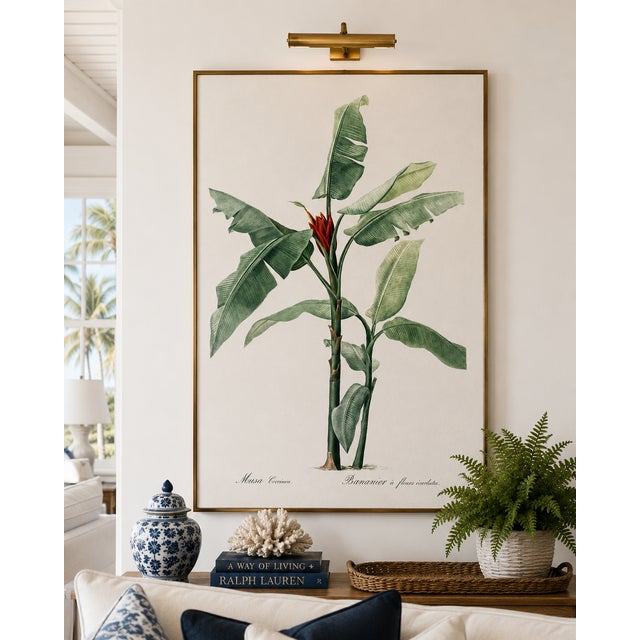Illustration Scarlet Banana Illustration, Vintage Botanical Art Print Reproduction, 24" X 36" For Sale - Image 3 of 10
