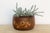 Large Antique Japanese Inlay Wood Hibachi Platter For Sale - Image 9 of 9