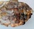 Original retail $1530, stylish Currey & Company Modern Capiz Shell Seahouse Semi-Flush Mount, smokehouse finished wrought...