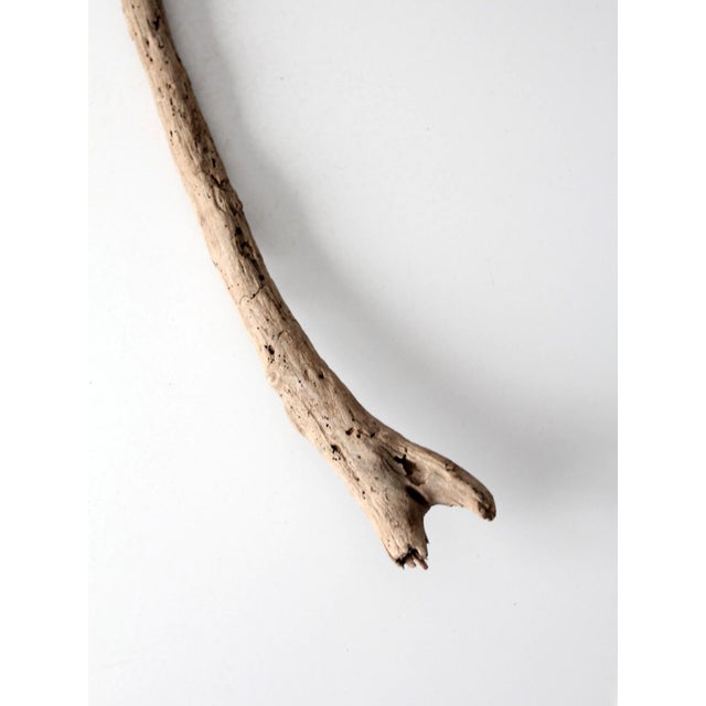 Vintage Natural Driftwood Sculpture Organic Modern Display Wood For Sale - Image 11 of 12