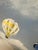 X- Large, Vintage Mid-Century Modern Lee Reynolds Hot Air Balloon and Cloud Scape Oil Painting For Sale - Image 9 of 11
