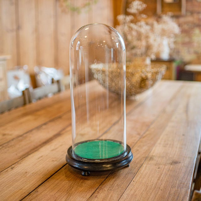 Traditional 1910's Antique Collector's Dome For Sale - Image 3 of 9