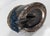 19th Century Rustic Horse Hoof Pin Cushion or Paperweight With Horseshoe For Sale - Image 10 of 10