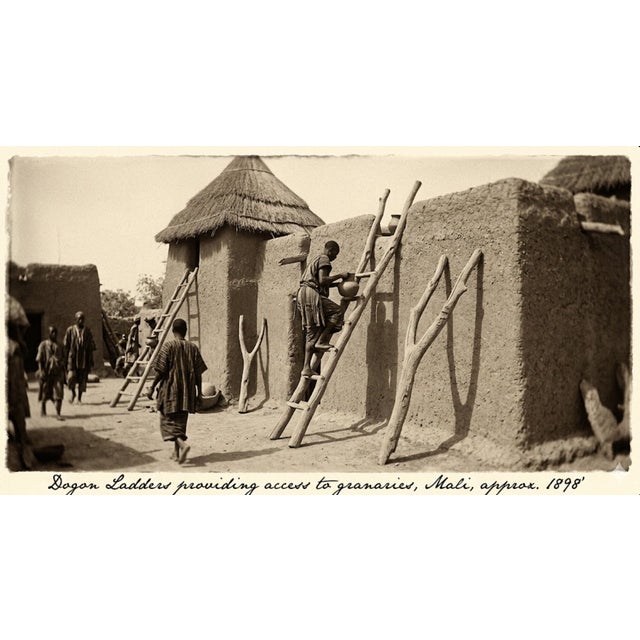 The Cliff Dweller, is a monumental artifact of West African tribal utility, distinguished by its robust, thick-trunk...