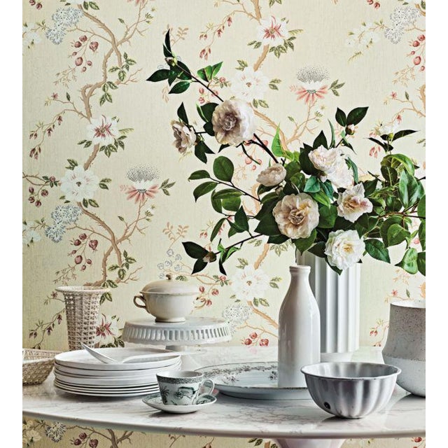 Camellia Wallpaper by Cole & Son This Is a Sample Chairish