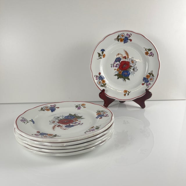 Set of 6 "Agreste" dinner plates, Sarreguemines, late 20th century Pyroblan porcelain plates Dimensions: Diameter: 23.5 cm...