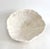 Extraordinarily rare natural Bowl coral specimen which can be displayed as convex or concave. An exceptionally large and...
