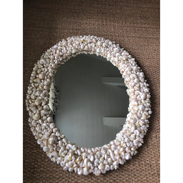 Coastal Oly Studio Oval Shell Mirror For Sale In Mobile - Image 6 of 7
