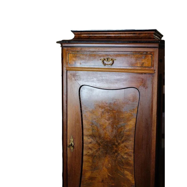 Tall Cabinet in Polished Walnut, 1850s For Sale - Image 5 of 6