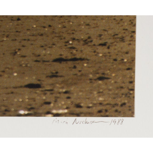 Contemporary 1988 Color Photograph of Coney Island, New York by Mark Nickerson For Sale - Image 3 of 7