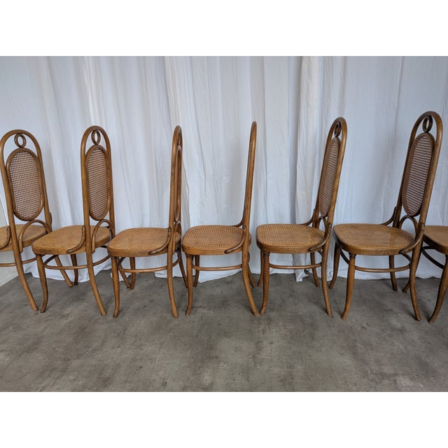 Vintage Bentwood and Cane Dining Chairs, Former Yugoslavia, 1970s, Set of 8 For Sale - Image 6 of 18