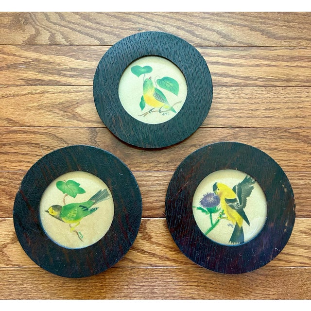 Antique set of three theorem paintings on velvet of birds. In original handmade antique wood frames. Images measure 3.5”...