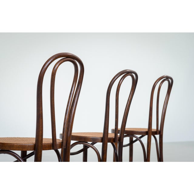 Wood Vintage Chaplin Chairs from Thonet, 1960s, Set of 3 For Sale - Image 7 of 12
