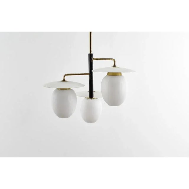 Mid-Century Modern Brass and Curved Glass Hanging Light, 1950s For Sale - Image 9 of 18